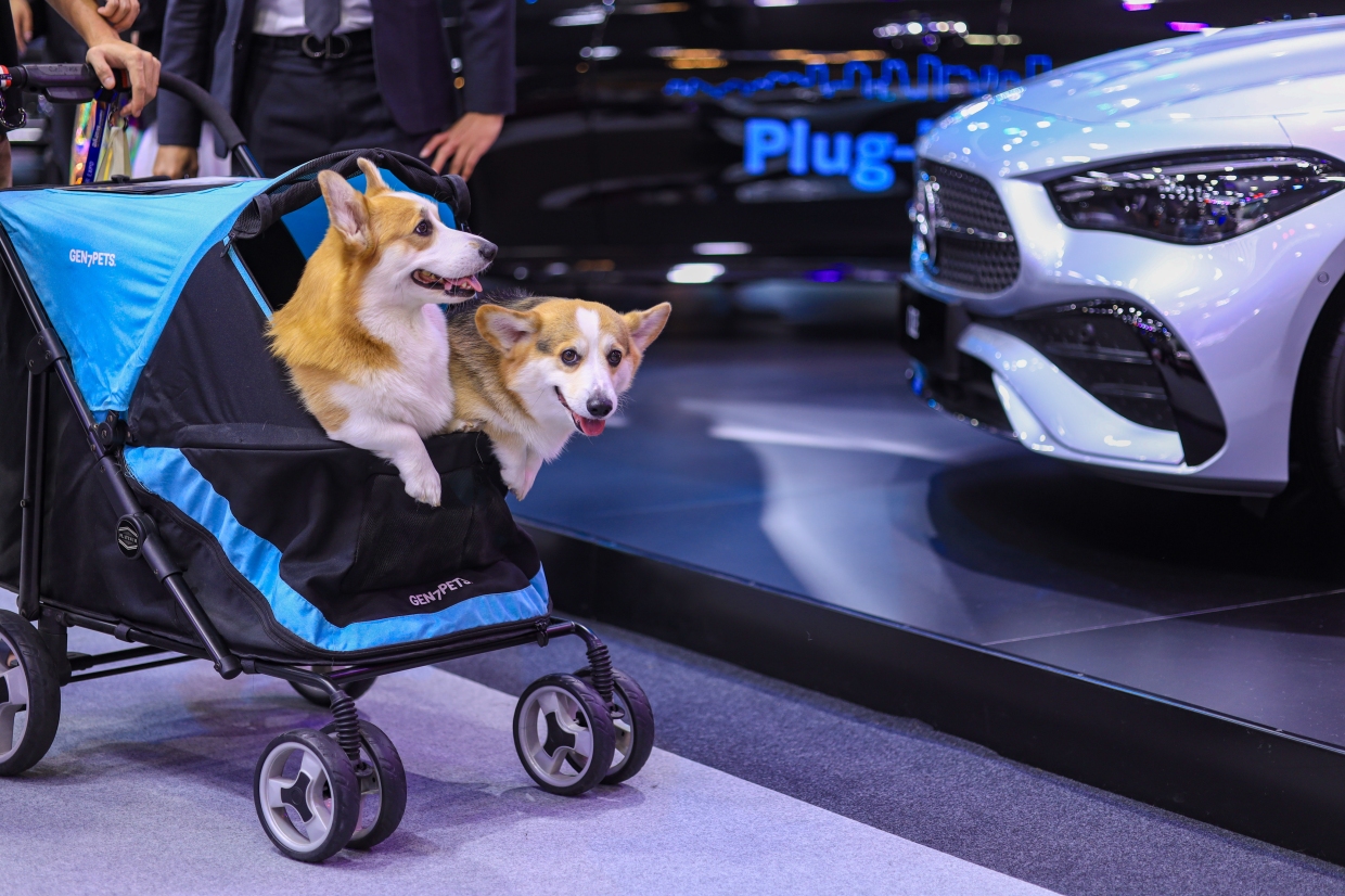 011225 Motor Expo2025_0110.jpg